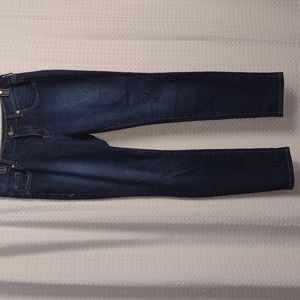 Torrid dark denim jeans